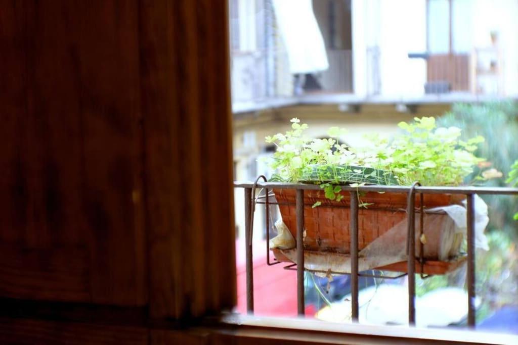 Centro - Vista Piazza Vittorio / Wi-Fi & Netflix Apartment ตูริน ภายนอก รูปภาพ